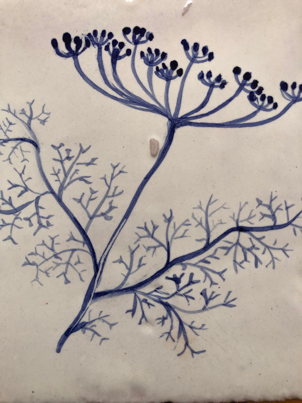 Fennel Handpainted azulejo glazed ceramic tile 15 cm x 15 cm
